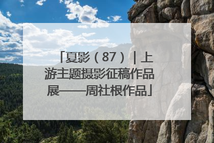 夏影（87）｜上游主题摄影征稿作品展——周社根作品