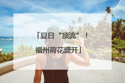 夏日“顶流”！福州荷花盛开