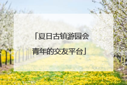 夏日古镇游园会 青年的交友平台