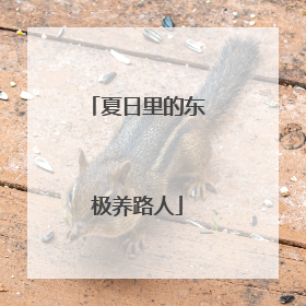 夏日里的东极养路人