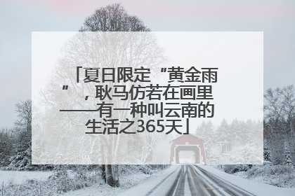夏日限定“黄金雨”，耿马仿若在画里——有一种叫云南的生活之365天