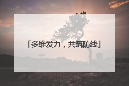 多维发力，共筑防线