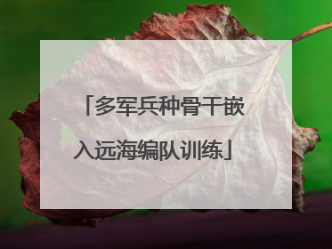 多军兵种骨干嵌入远海编队训练