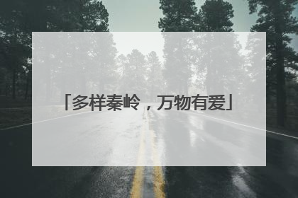 多样秦岭，万物有爱