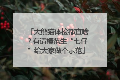 大熊猫体检都查啥？有请模范生“七仔”给大家做个示范