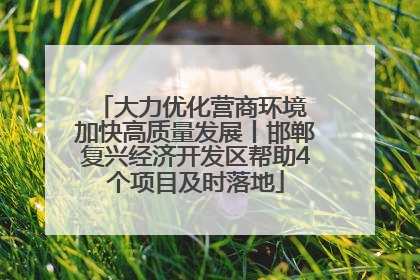 大力优化营商环境 加快高质量发展丨邯郸复兴经济开发区帮助4个项目及时落地