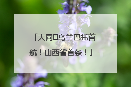 大同⇌乌兰巴托首航！山西省首条！