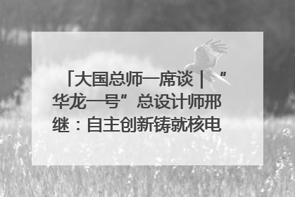 大国总师一席谈｜“华龙一号”总设计师邢继：自主创新铸就核电“国家名片”