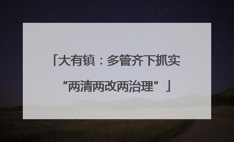大有镇：多管齐下抓实“两清两改两治理”