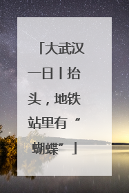 大武汉一日丨抬头，地铁站里有“蝴蝶”
