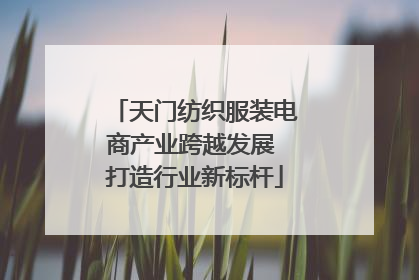 天门纺织服装电商产业跨越发展 打造行业新标杆