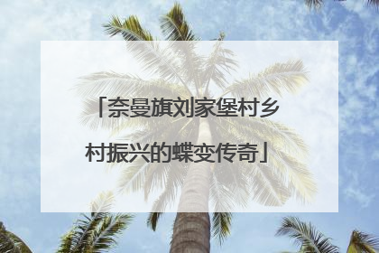 奈曼旗刘家堡村乡村振兴的蝶变传奇
