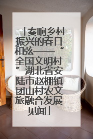 奏响乡村振兴的春日和弦——“全国文明村”湖北省安陆市赵棚镇团山村农文旅融合发展见闻