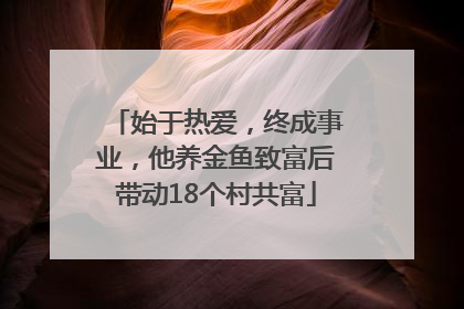始于热爱，终成事业，他养金鱼致富后带动18个村共富