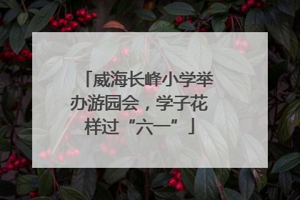 威海长峰小学举办游园会，学子花样过“六一”