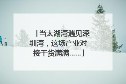 当太湖湾遇见深圳湾，这场产业对接干货满满……
