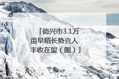 德兴市3.1万亩早稻长势喜人 丰收在望（图）