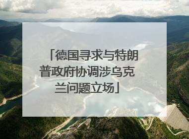 德国寻求与特朗普政府协调涉乌克兰问题立场
