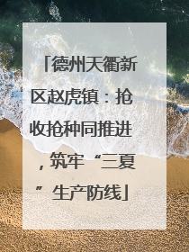德州天衢新区赵虎镇：抢收抢种同推进，筑牢“三夏”生产防线