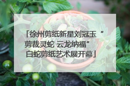 徐州剪纸新星刘冠玉“剪裁灵蛇 云龙纳福” 白蛇剪纸艺术展开幕