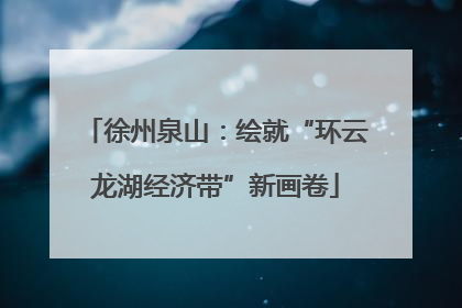 徐州泉山：绘就“环云龙湖经济带”新画卷