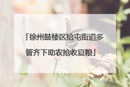 徐州鼓楼区拾屯街道多管齐下助农抢收夏粮