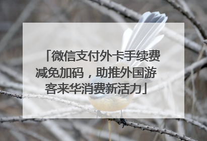 微信支付外卡手续费减免加码，助推外国游客来华消费新活力
