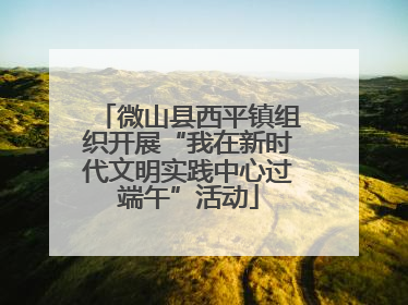 微山县西平镇组织开展“我在新时代文明实践中心过端午”活动