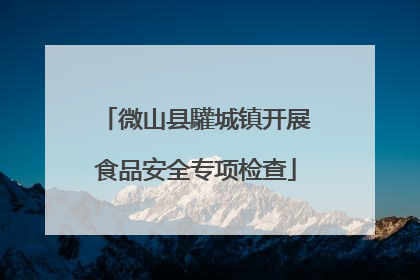 微山县驩城镇开展食品安全专项检查