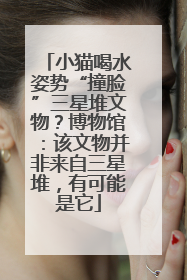 小猫喝水姿势“撞脸”三星堆文物？博物馆：该文物并非来自三星堆，有可能是它