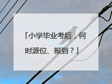 小学毕业考后，何时派位、报到？