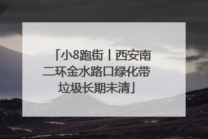 小8跑街丨西安南二环金水路口绿化带垃圾长期未清