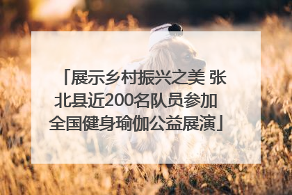 展示乡村振兴之美 张北县近200名队员参加全国健身瑜伽公益展演
