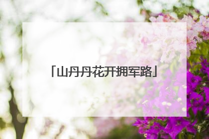 山丹丹花开拥军路