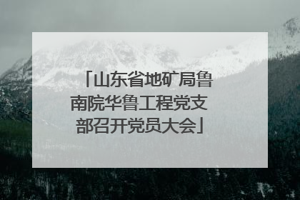 山东省地矿局鲁南院华鲁工程党支部召开党员大会