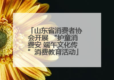 山东省消费者协会开展 “护童消费安 端午文化传”消费教育活动