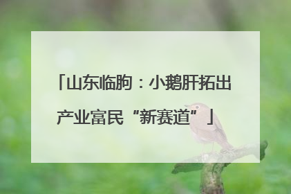 山东临朐：小鹅肝拓出产业富民“新赛道”