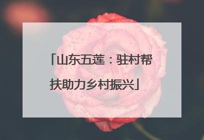 山东五莲：驻村帮扶助力乡村振兴