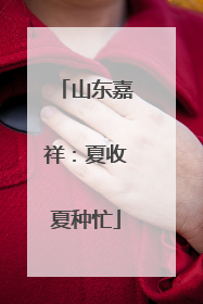 山东嘉祥：夏收夏种忙
