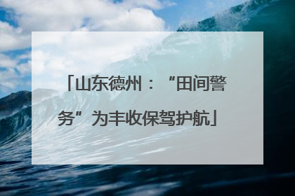 山东德州：“田间警务”为丰收保驾护航