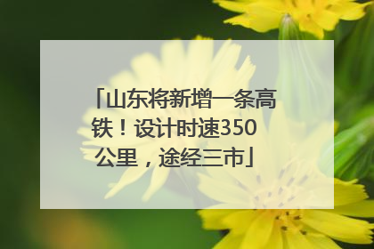 山东将新增一条高铁！设计时速350公里，途经三市