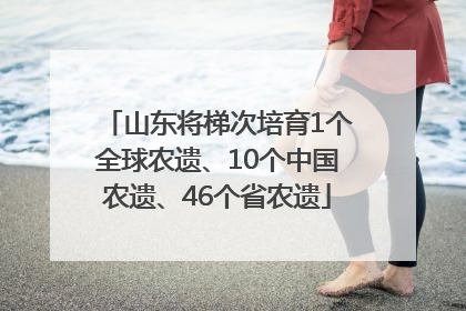 山东将梯次培育1个全球农遗、10个中国农遗、46个省农遗