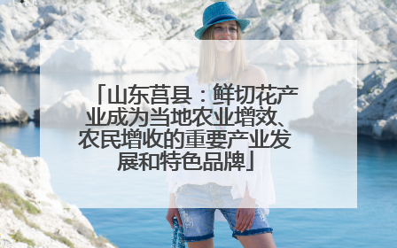山东莒县：鲜切花产业成为当地农业增效、农民增收的重要产业发展和特色品牌