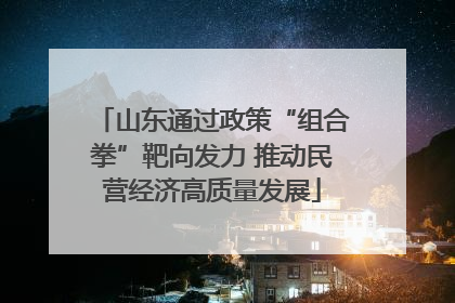 山东通过政策“组合拳”靶向发力 推动民营经济高质量发展