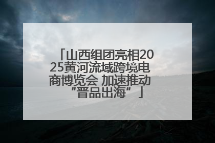 山西组团亮相2025黄河流域跨境电商博览会 加速推动“晋品出海”