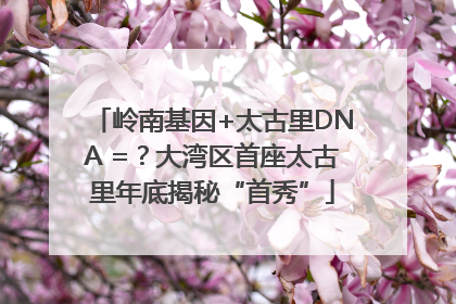 岭南基因+太古里DNA =？大湾区首座太古里年底揭秘“首秀”