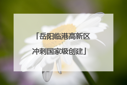 岳阳临港高新区冲刺国家级创建