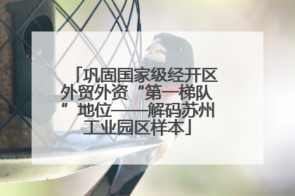 巩固国家级经开区外贸外资“第一梯队”地位——解码苏州工业园区样本
