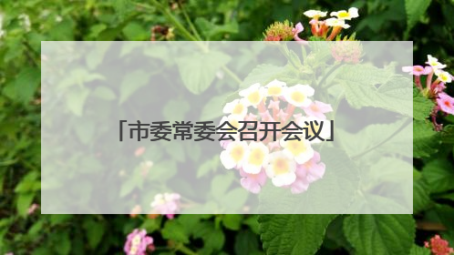市委常委会召开会议