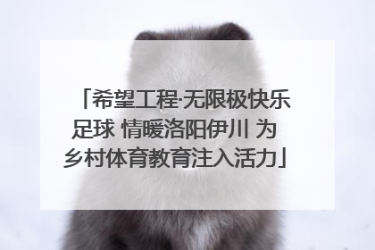希望工程·无限极快乐足球 情暖洛阳伊川 为乡村体育教育注入活力
